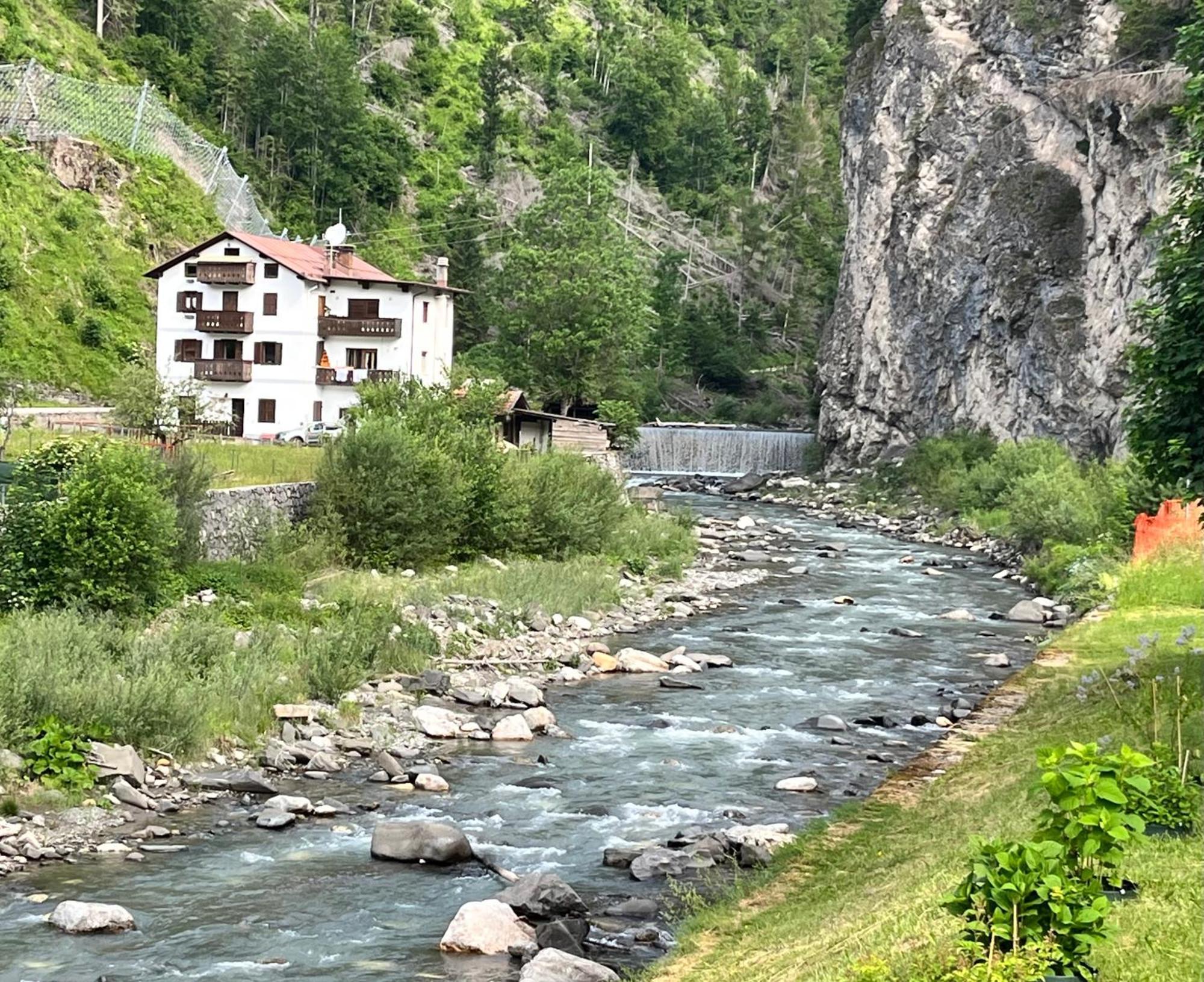 Апартаменты Casa Di Charme Sul Civetta Dolomiti Каприле Экстерьер фото