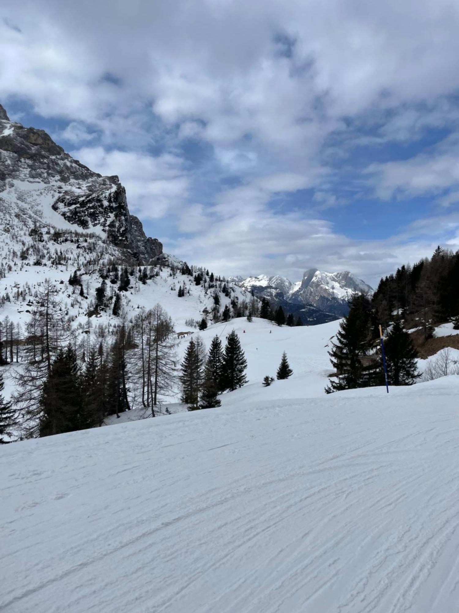 Апартаменты Casa Di Charme Sul Civetta Dolomiti Каприле Экстерьер фото