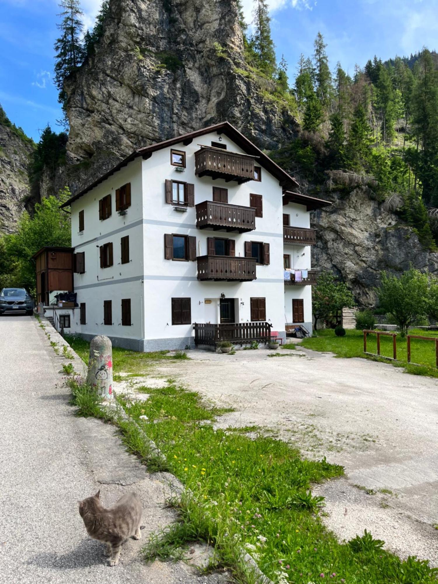 Апартаменты Casa Di Charme Sul Civetta Dolomiti Каприле Экстерьер фото